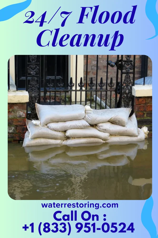 24/7 Flood Cleanup in Audubon, MN