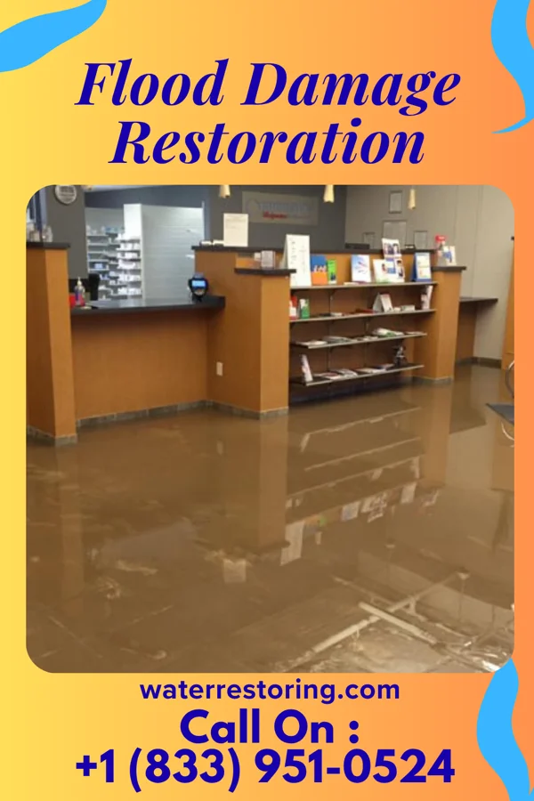 Flood Damage Restoration in Audubon, MN