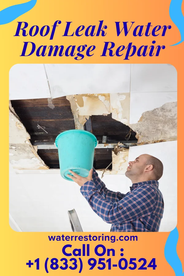 Roof Leak Water Damage Repair in Audubon, MN