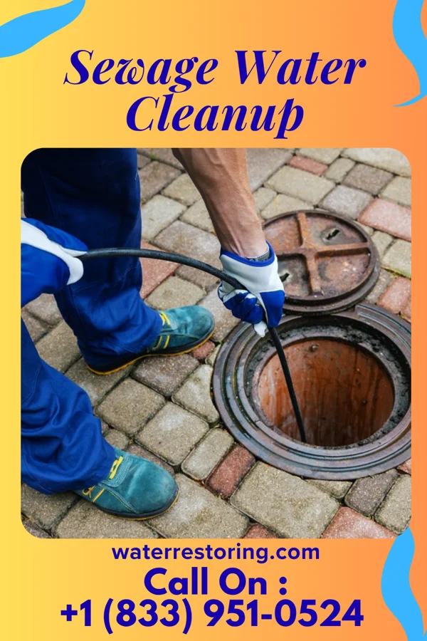 Sewage Water Cleanup in Audubon, MN